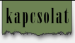 kapcsolat